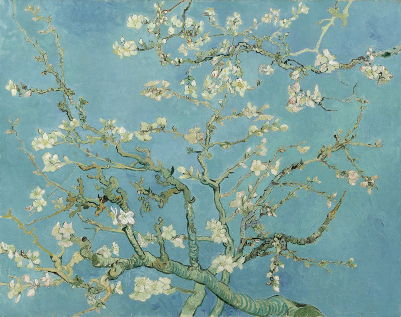 Vincent van Gogh, Almond Blossem, February 1890, Van Gogh Museum, Amsterdam (F0671)