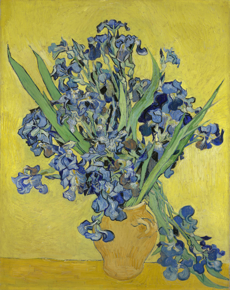Vincent van Gogh, Irises, May 1890, Van Gogh Museum, Amsterdam (F0678)