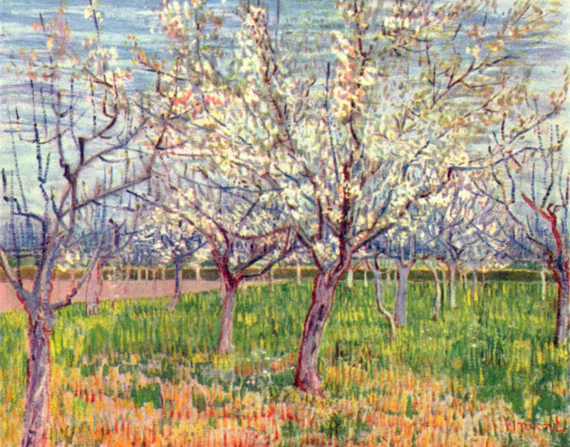 Vincent van Gogh, The Pink Orchard also Orchard with Blossoming Apricot Trees, March 1888, Van Gogh Museum, Amsterdam (F0555)